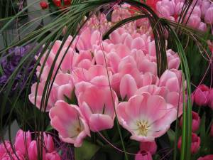 Tag