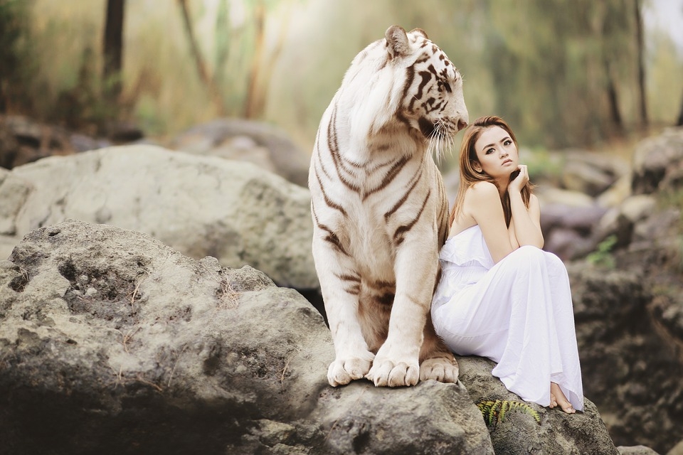 Perrie 9