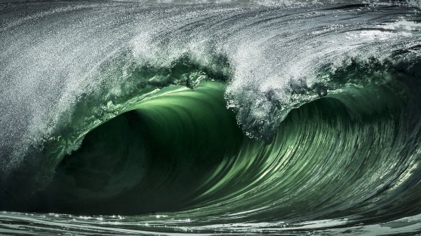 Winner: wave
